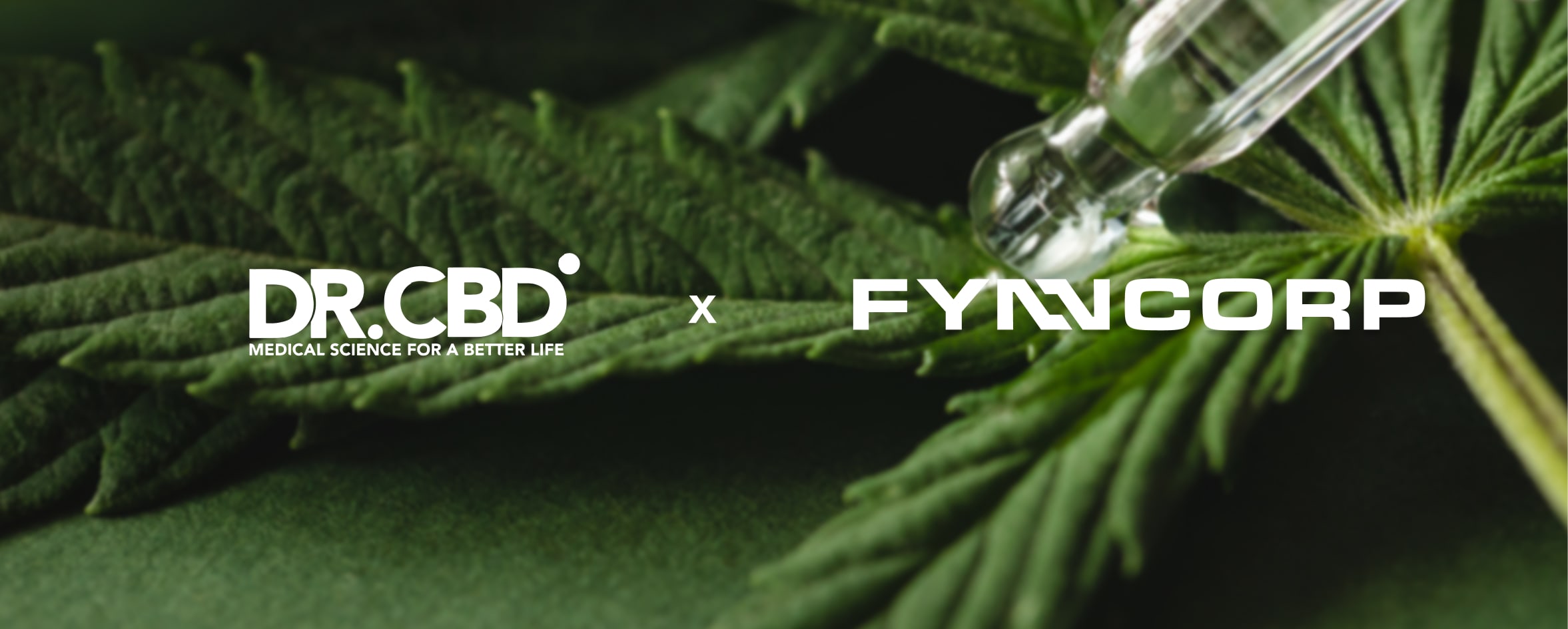 FynnCorp Partners with DR. CBD to Drive Growth in Thailand’s Hemp  and Cannabis Industry